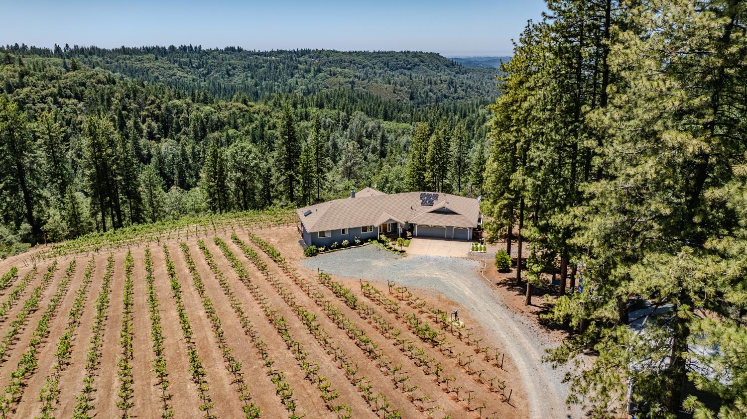 18591 Ponderosa Hills Road Volcano, CA 95689 - Photo 38 of 92