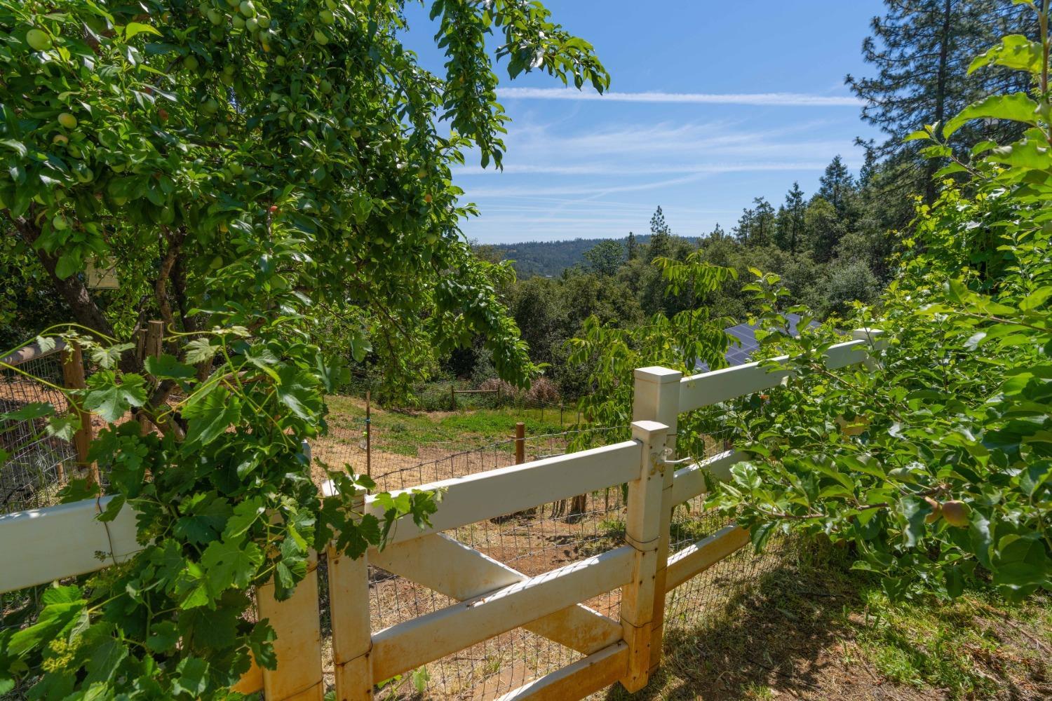 18301 Toyon Road Pine Grove, CA 95665 - Photo 14 of 15 a view of a two chairs in the balcony