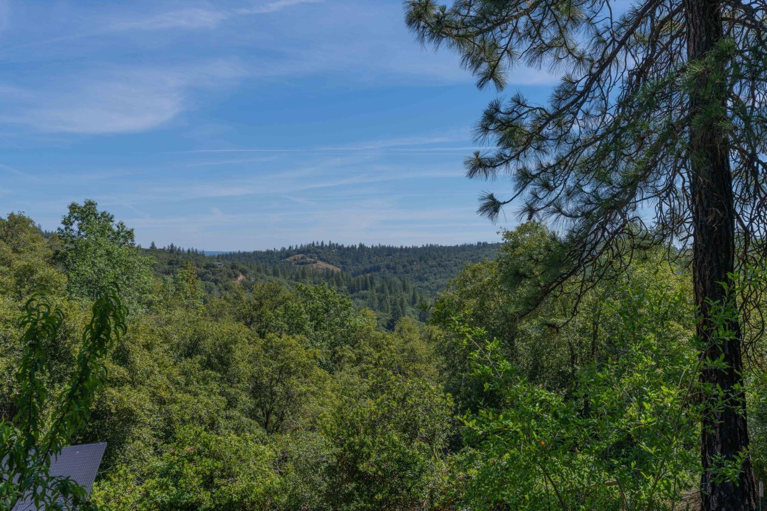18301 Toyon Road Pine Grove, CA 95665 - Photo 15 of 15 a view of a city with lush green forest