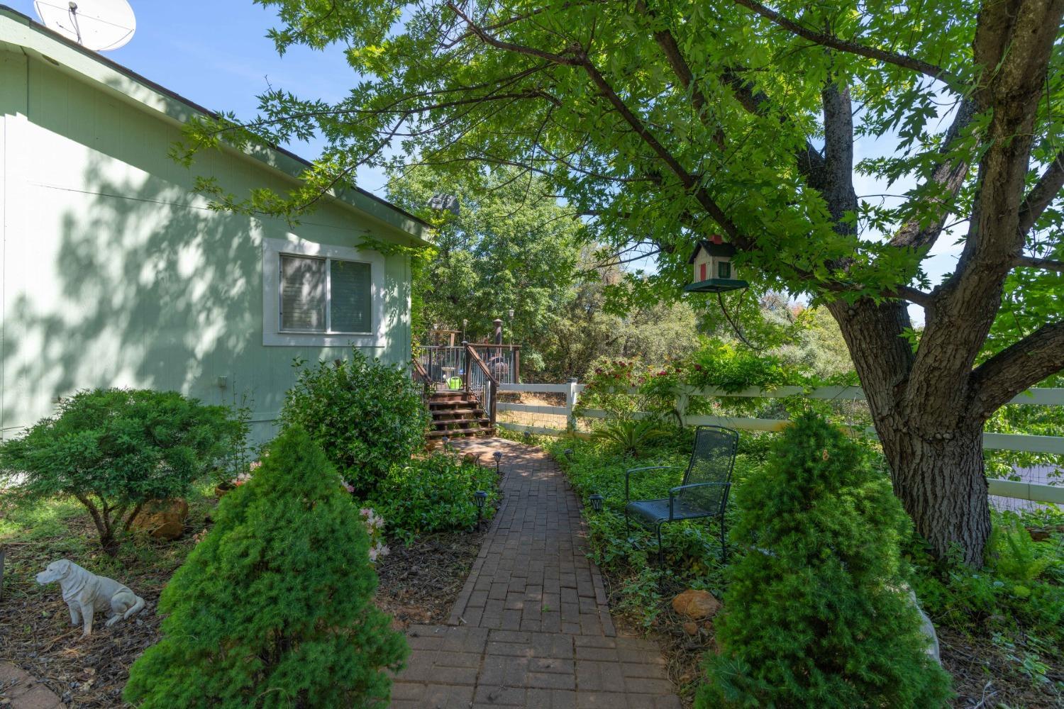 18301 Toyon Road Pine Grove, CA 95665 - Photo 5 of 15 a backyard of a house with lots of green space