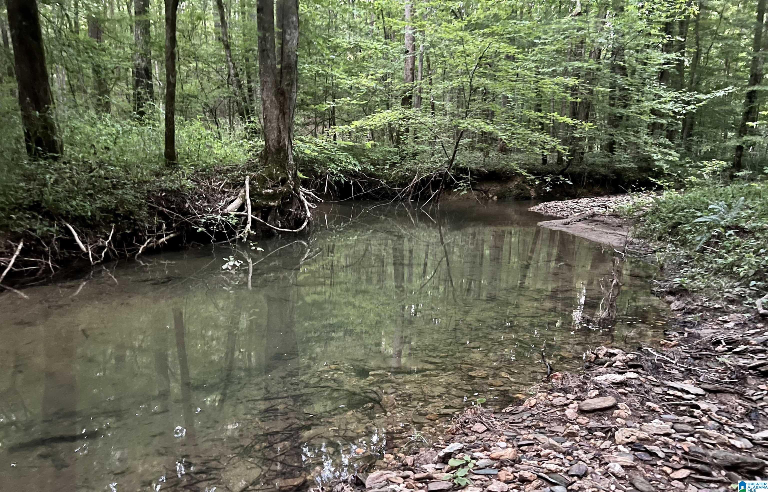 1515 Kelly Ranch Road, Unit 138 ACRES / Talladega, AL 35160 - Photo 34 of 42
