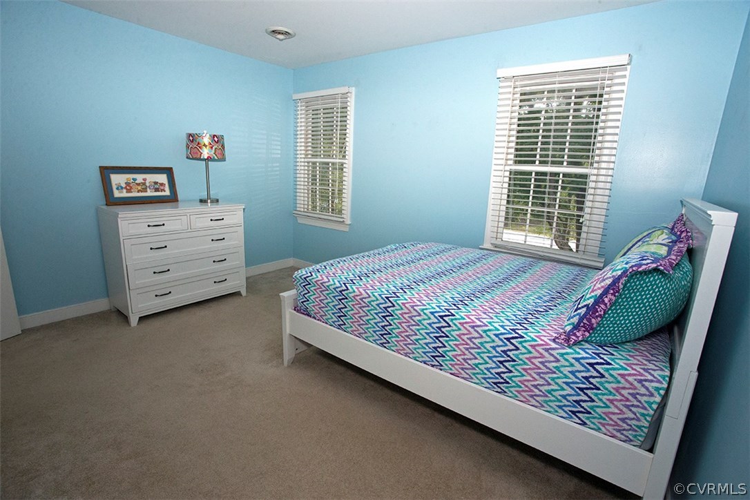 13230 Drakewood Road Midlothian, VA 23113 - Photo 28 of 41