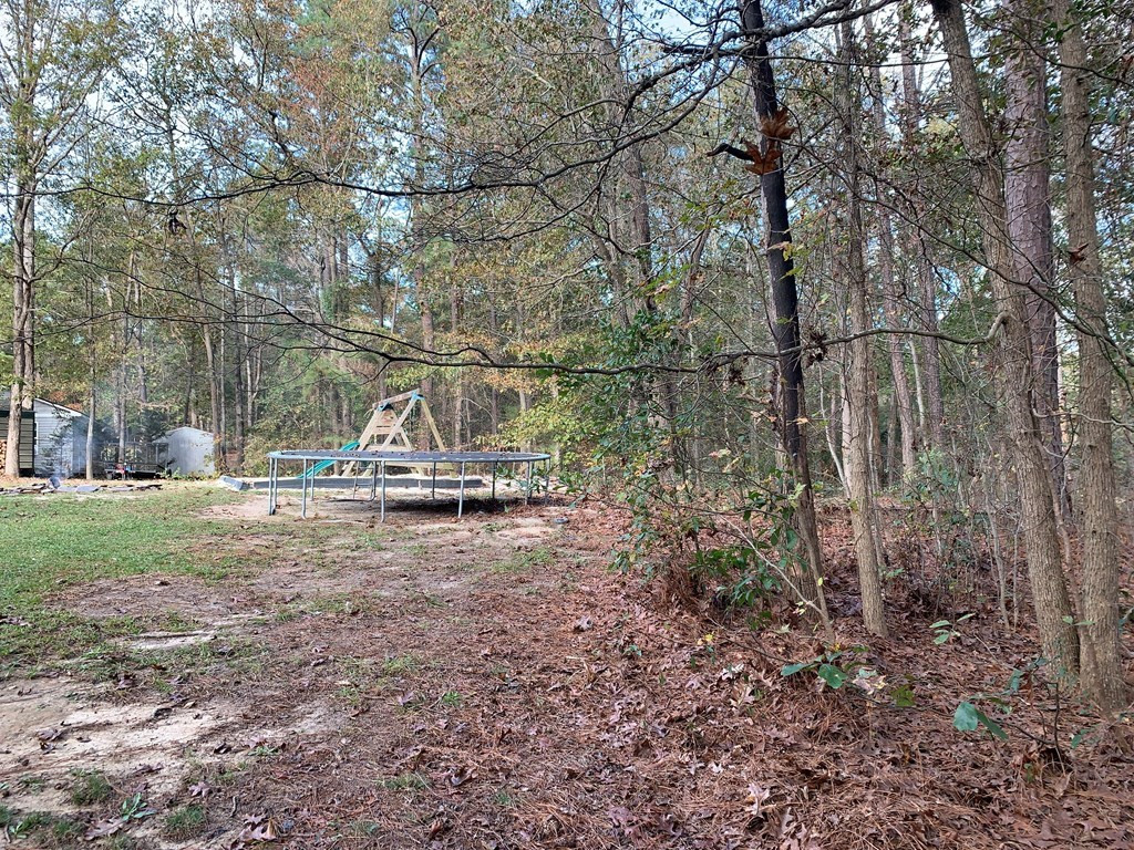 247 Lanier Road Beech Island, SC 29842 - Photo 23 of 45 Gallery Image 23