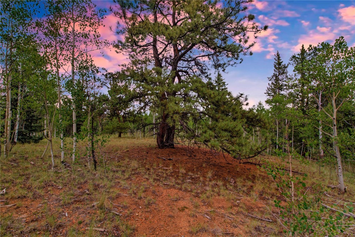 545 Buffalo Ridge Road Como, CO 80432 - Photo 1 of 40 Gallery Image 1