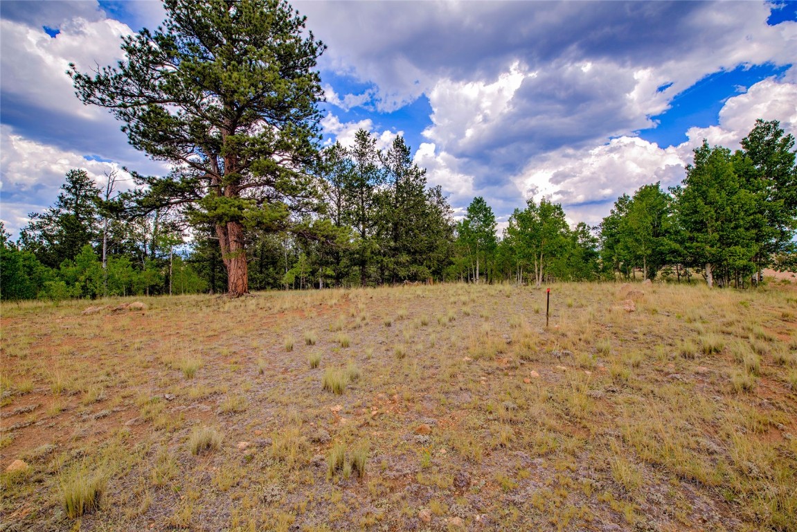 545 Buffalo Ridge Road Como, CO 80432 - Photo 11 of 40 Gallery Image 11