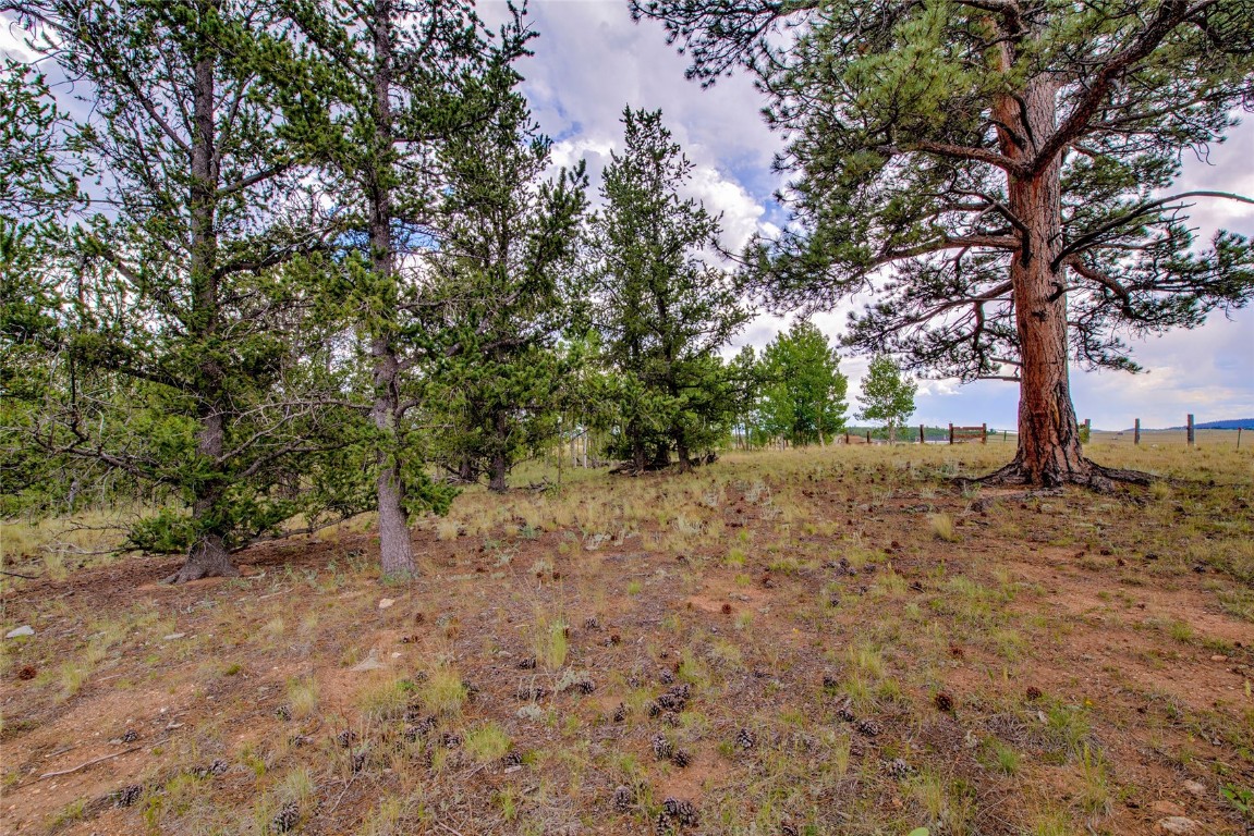 545 Buffalo Ridge Road Como, CO 80432 - Photo 12 of 40 Gallery Image 12