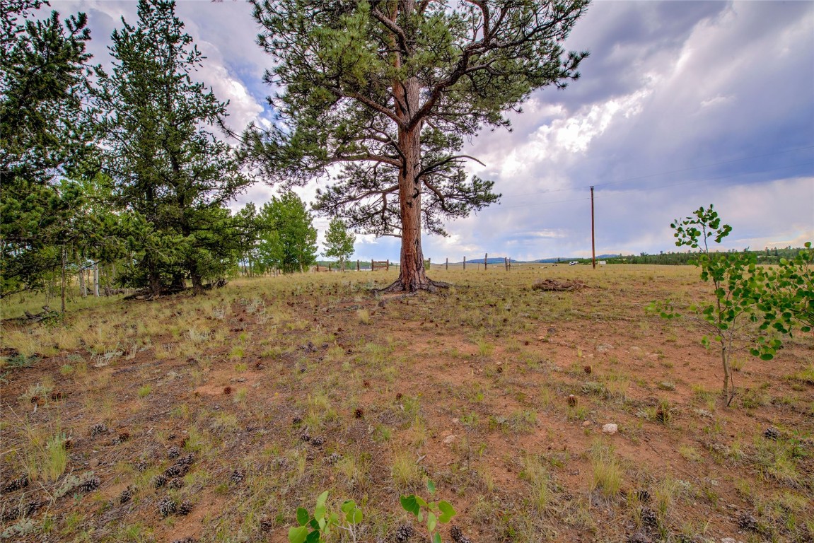 545 Buffalo Ridge Road Como, CO 80432 - Photo 13 of 40 Gallery Image 13