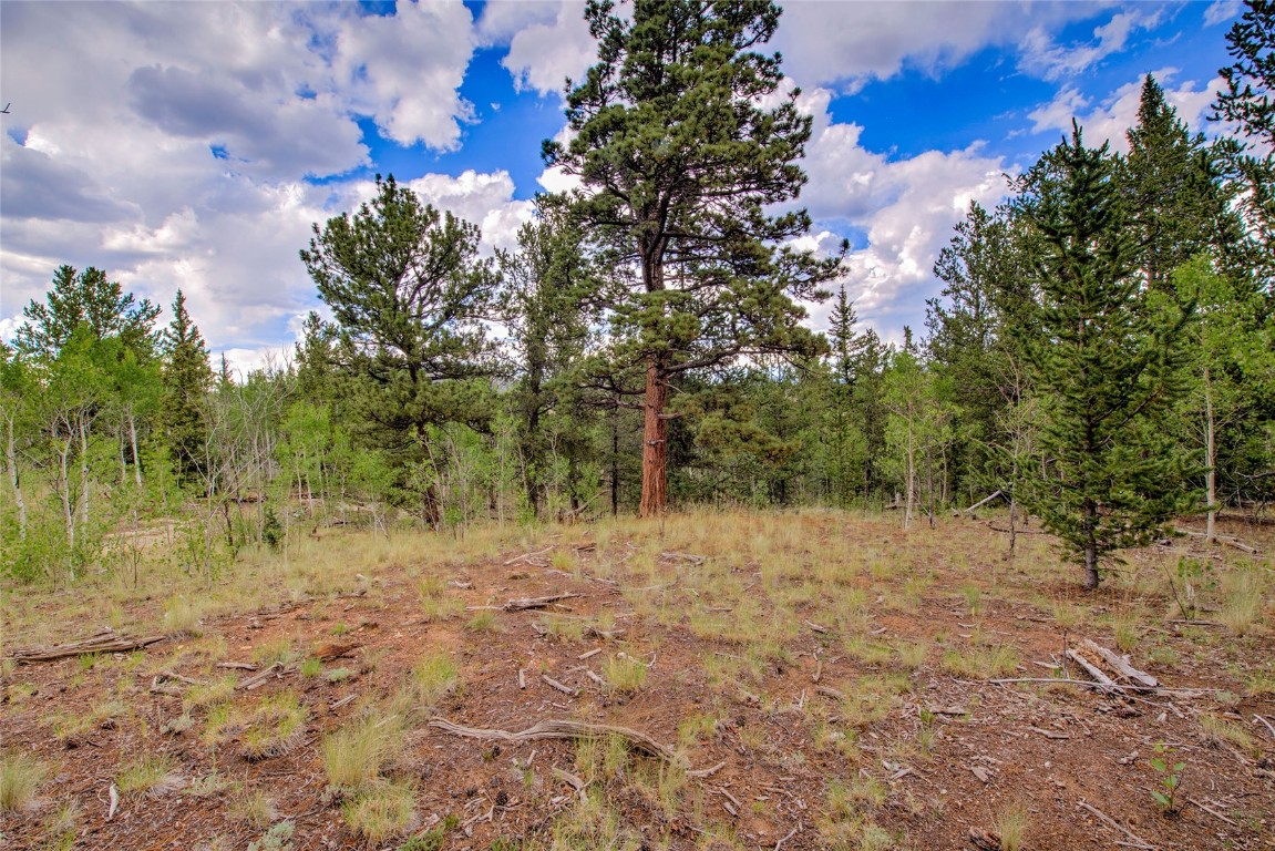 545 Buffalo Ridge Road Como, CO 80432 - Photo 14 of 40 Gallery Image 14