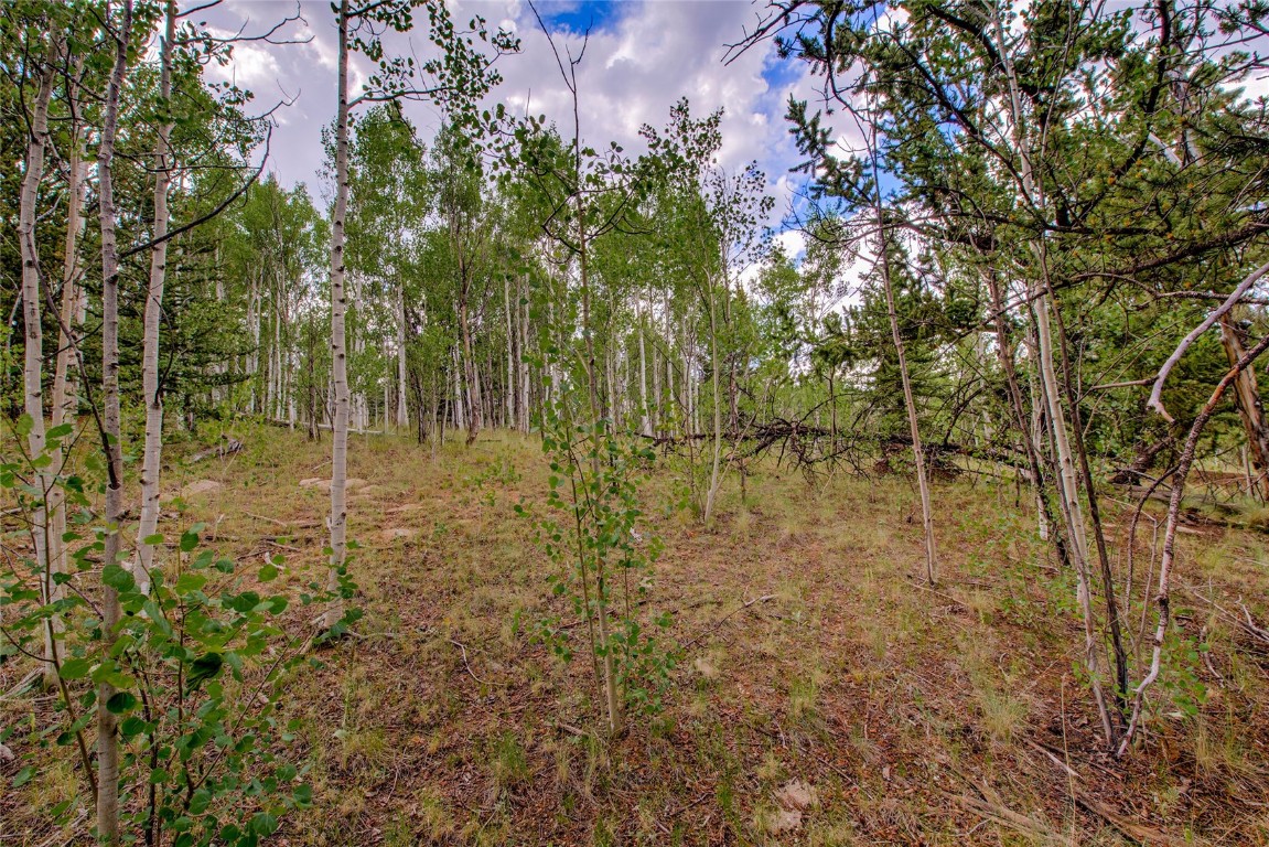 545 Buffalo Ridge Road Como, CO 80432 - Photo 15 of 40 Gallery Image 15