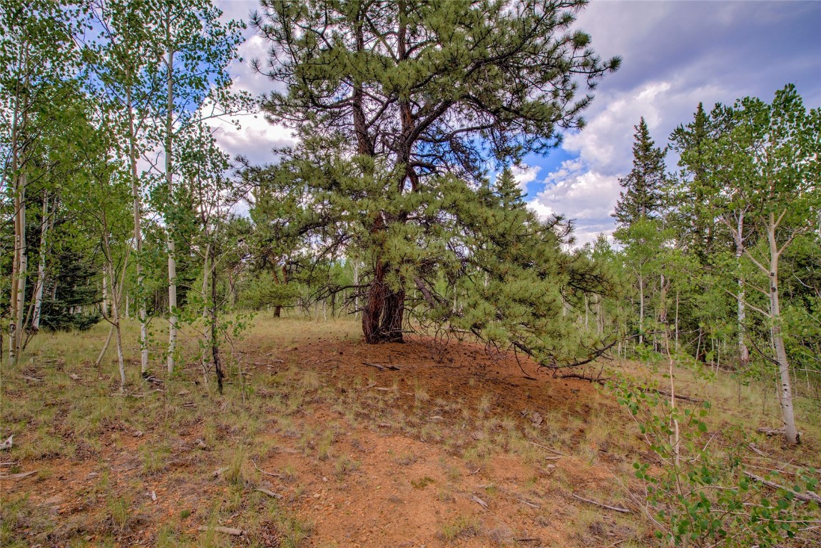 545 Buffalo Ridge Road Como, CO 80432 - Photo 16 of 40 Gallery Image 16