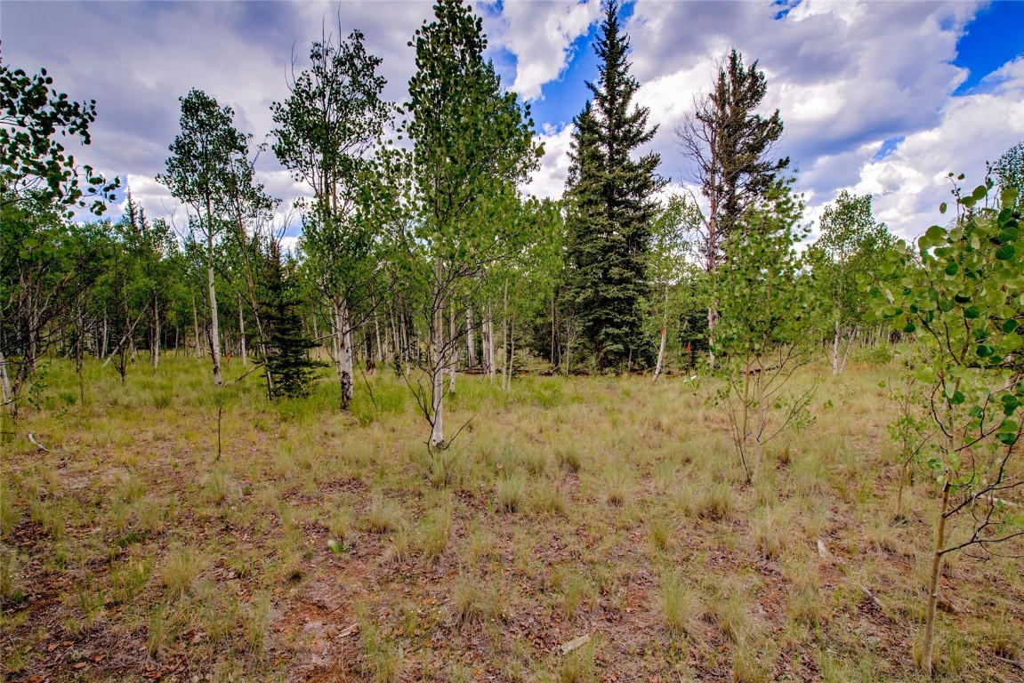 545 Buffalo Ridge Road Como, CO 80432 - Photo 17 of 40 Gallery Image 17