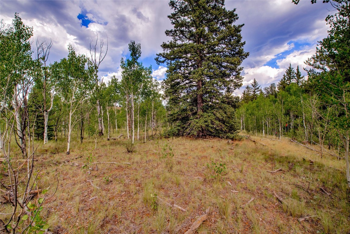 545 Buffalo Ridge Road Como, CO 80432 - Photo 19 of 40 Gallery Image 19