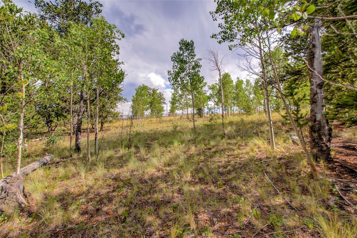 545 Buffalo Ridge Road Como, CO 80432 - Photo 20 of 40 Gallery Image 20