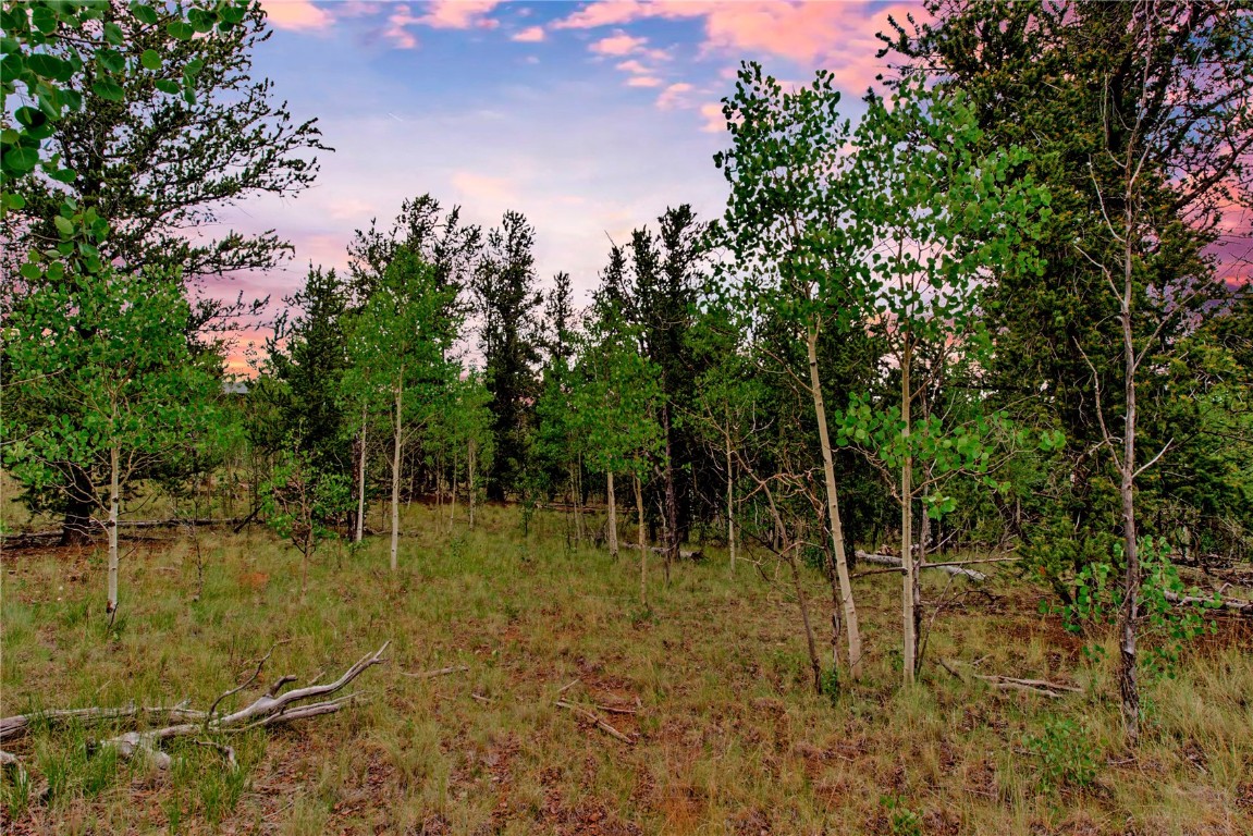 545 Buffalo Ridge Road Como, CO 80432 - Photo 2 of 40 Gallery Image 2