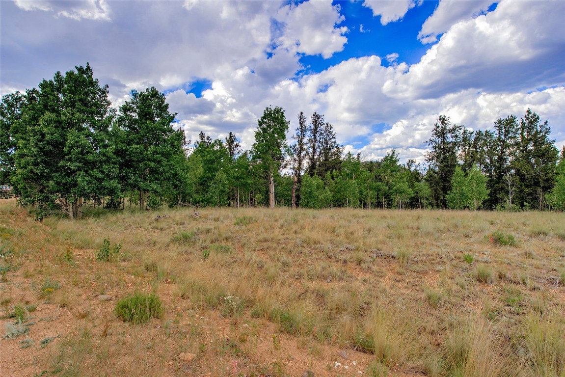 545 Buffalo Ridge Road Como, CO 80432 - Photo 22 of 40 Gallery Image 22