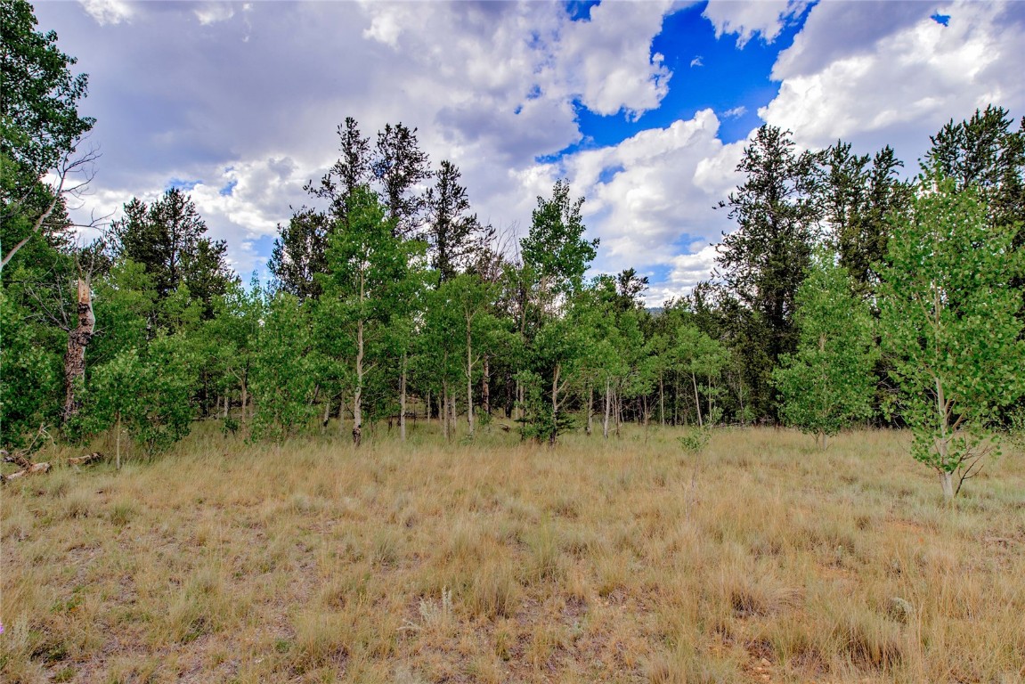 545 Buffalo Ridge Road Como, CO 80432 - Photo 24 of 40 Gallery Image 24