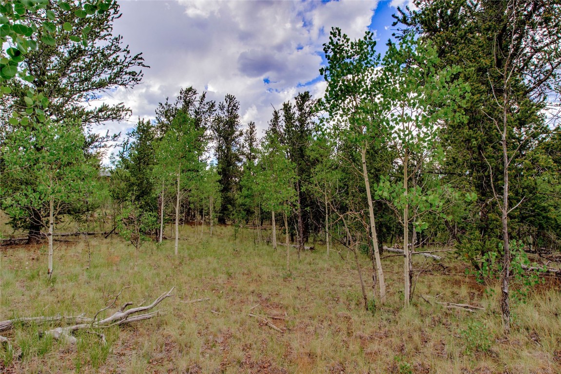 545 Buffalo Ridge Road Como, CO 80432 - Photo 25 of 40 Gallery Image 25