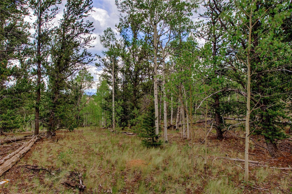545 Buffalo Ridge Road Como, CO 80432 - Photo 26 of 40 Gallery Image 26
