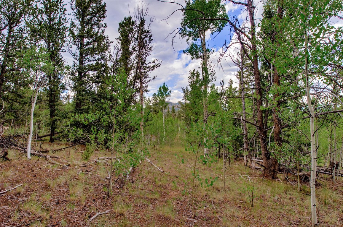 545 Buffalo Ridge Road Como, CO 80432 - Photo 27 of 40 Gallery Image 27