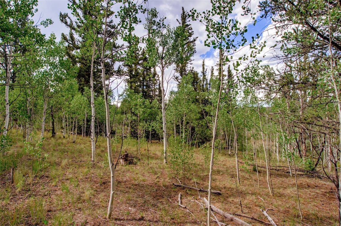545 Buffalo Ridge Road Como, CO 80432 - Photo 28 of 40 Gallery Image 28