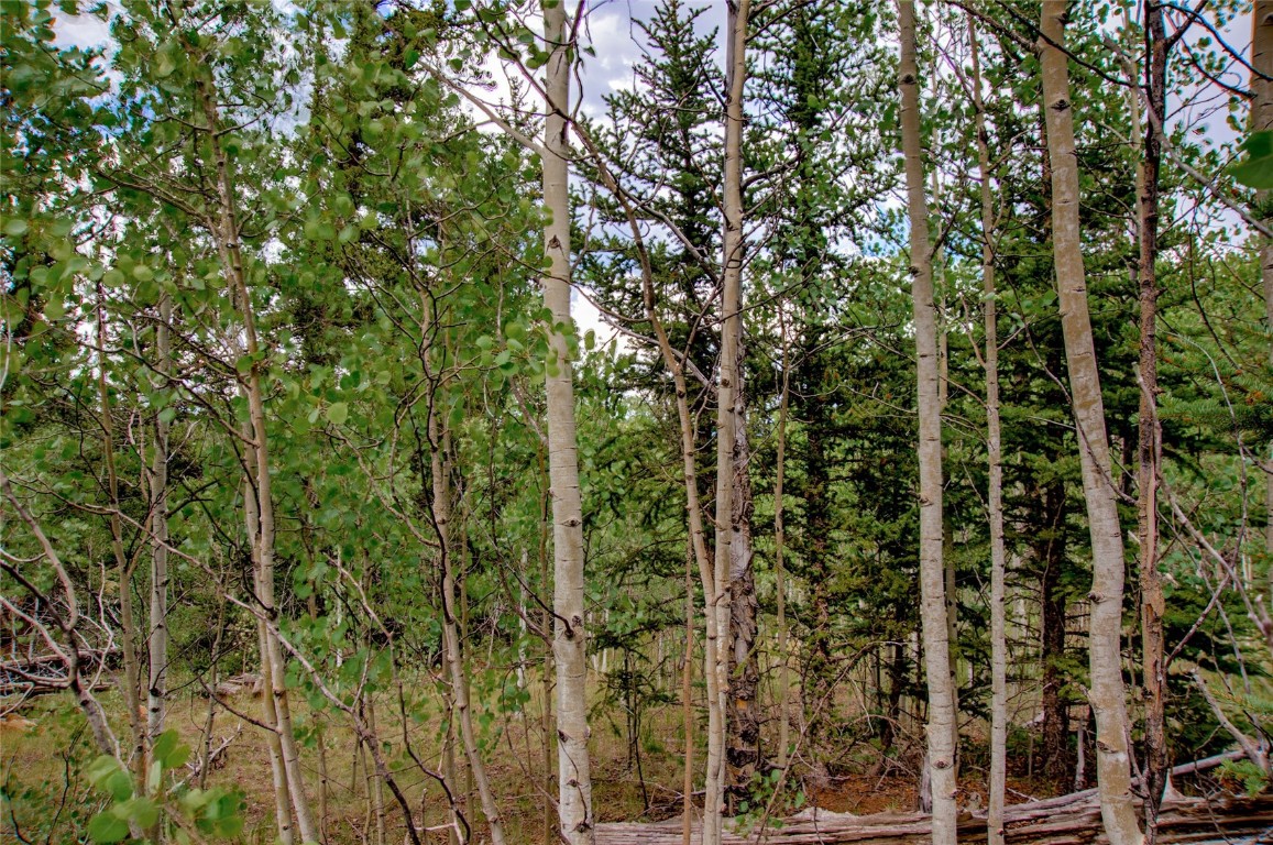 545 Buffalo Ridge Road Como, CO 80432 - Photo 29 of 40 Gallery Image 29