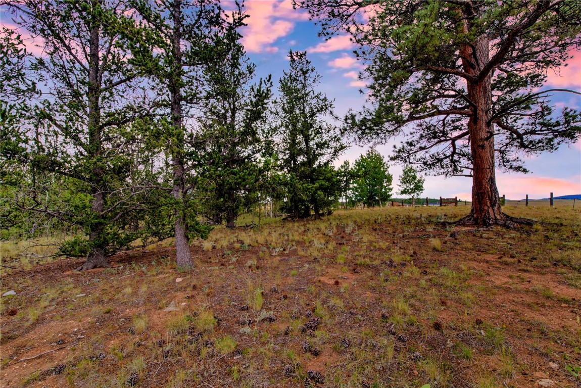 545 Buffalo Ridge Road Como, CO 80432 - Photo 3 of 40 Gallery Image 3