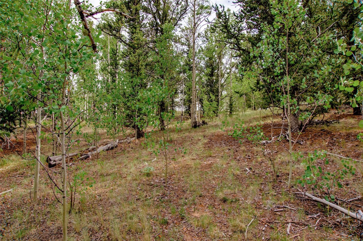 545 Buffalo Ridge Road Como, CO 80432 - Photo 31 of 40 Gallery Image 31