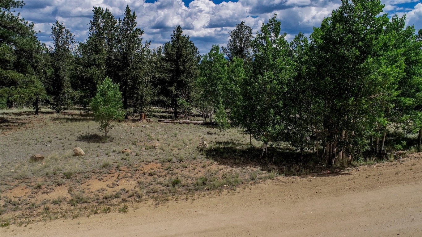 545 Buffalo Ridge Road Como, CO 80432 - Photo 32 of 40 Gallery Image 32