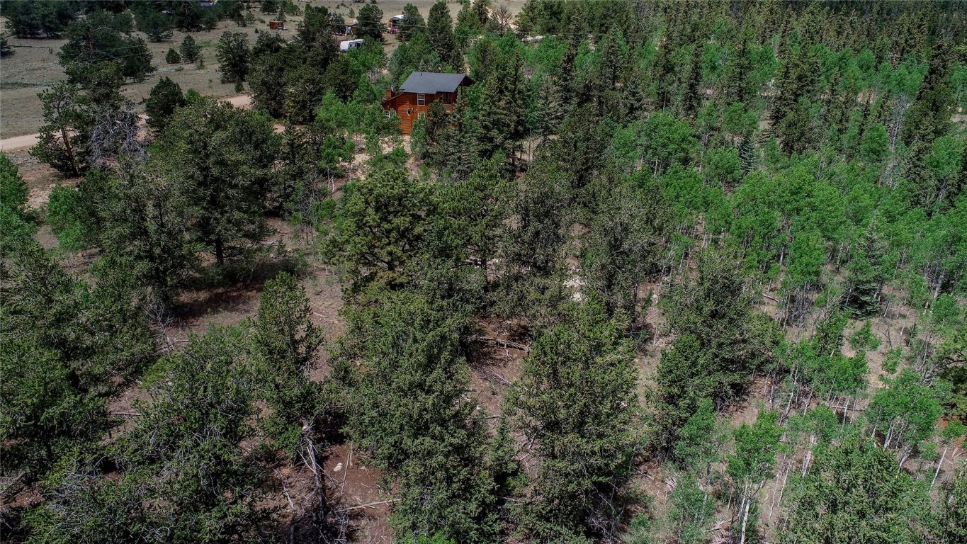 545 Buffalo Ridge Road Como, CO 80432 - Photo 35 of 40 Gallery Image 35