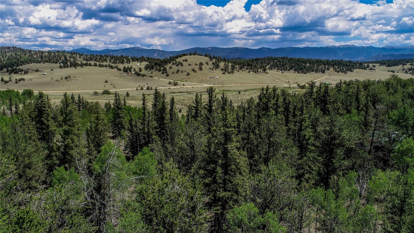 545 Buffalo Ridge Road Como, CO 80432 - Photo 39 of 40 Gallery Image 39