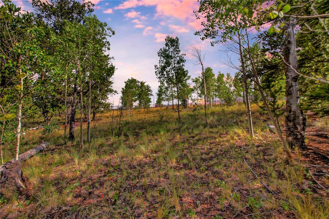 545 Buffalo Ridge Road Como, CO 80432 - Photo 5 of 40 Gallery Image 5
