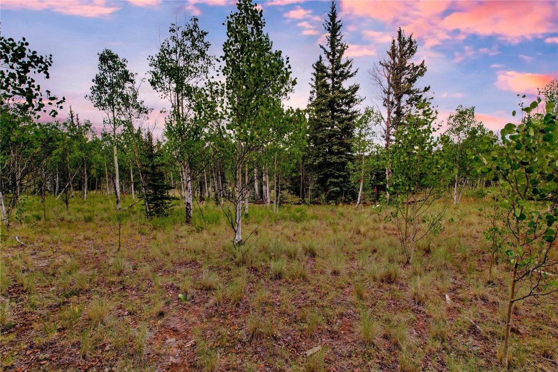545 Buffalo Ridge Road Como, CO 80432 - Photo 6 of 40 Gallery Image 6