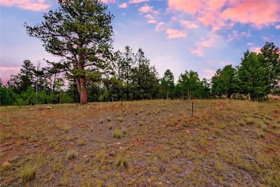 545 Buffalo Ridge Road Como, CO 80432 - Photo 7 of 40 Gallery Image 7