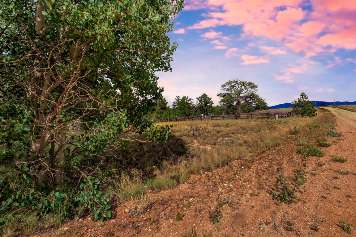 545 Buffalo Ridge Road Como, CO 80432 - Photo 9 of 40 Gallery Image 9
