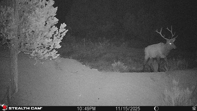123 Tbd Forest Service Rd 640a (s Salina, UT 84654 - Photo 16 of 69 Exterior view