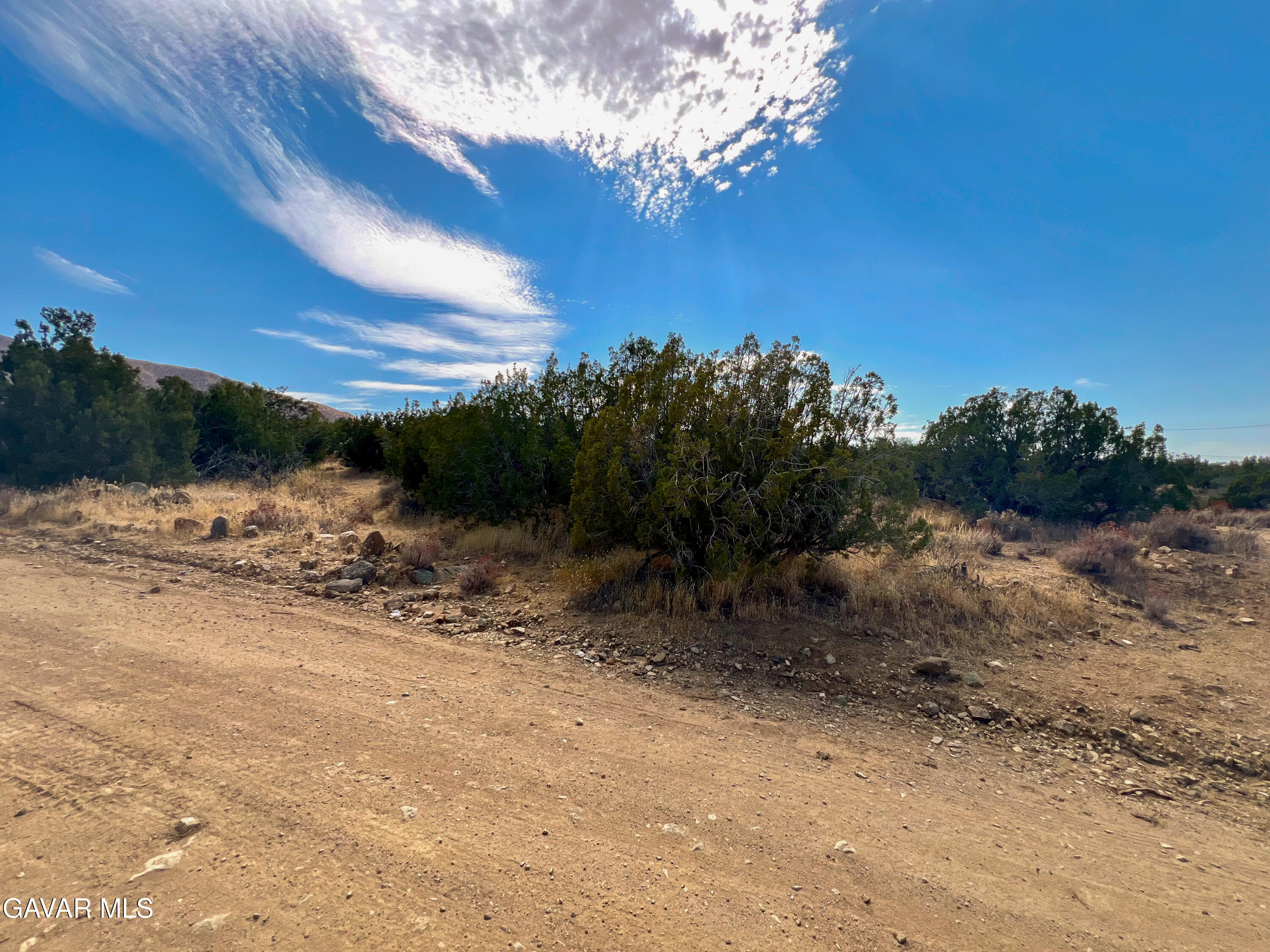 0 Four 4 Winds Road Juniper Hills, CA 93543 - Photo 5 of 11 IMG_2226_7