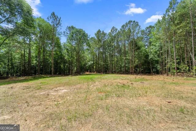 a view of a yard with trees