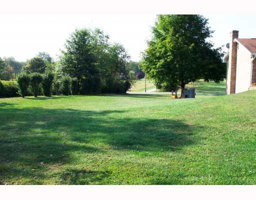265 Ferncliff Road Rices Landing, PA 15357 - Photo 7 of 18 Land/Lot. Side yard