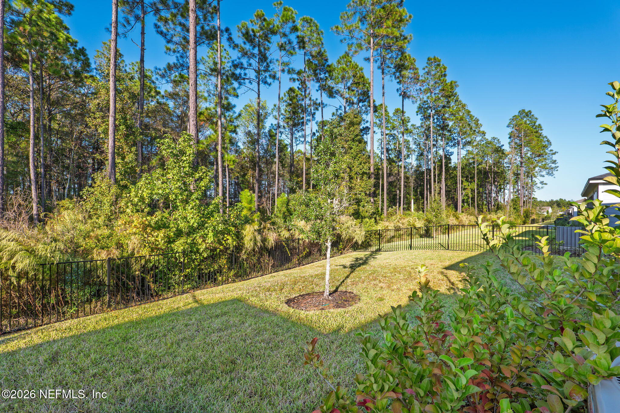 408 Del Webb Parkway Yulee, FL 32097 - Photo 23 of 35 a view of yard