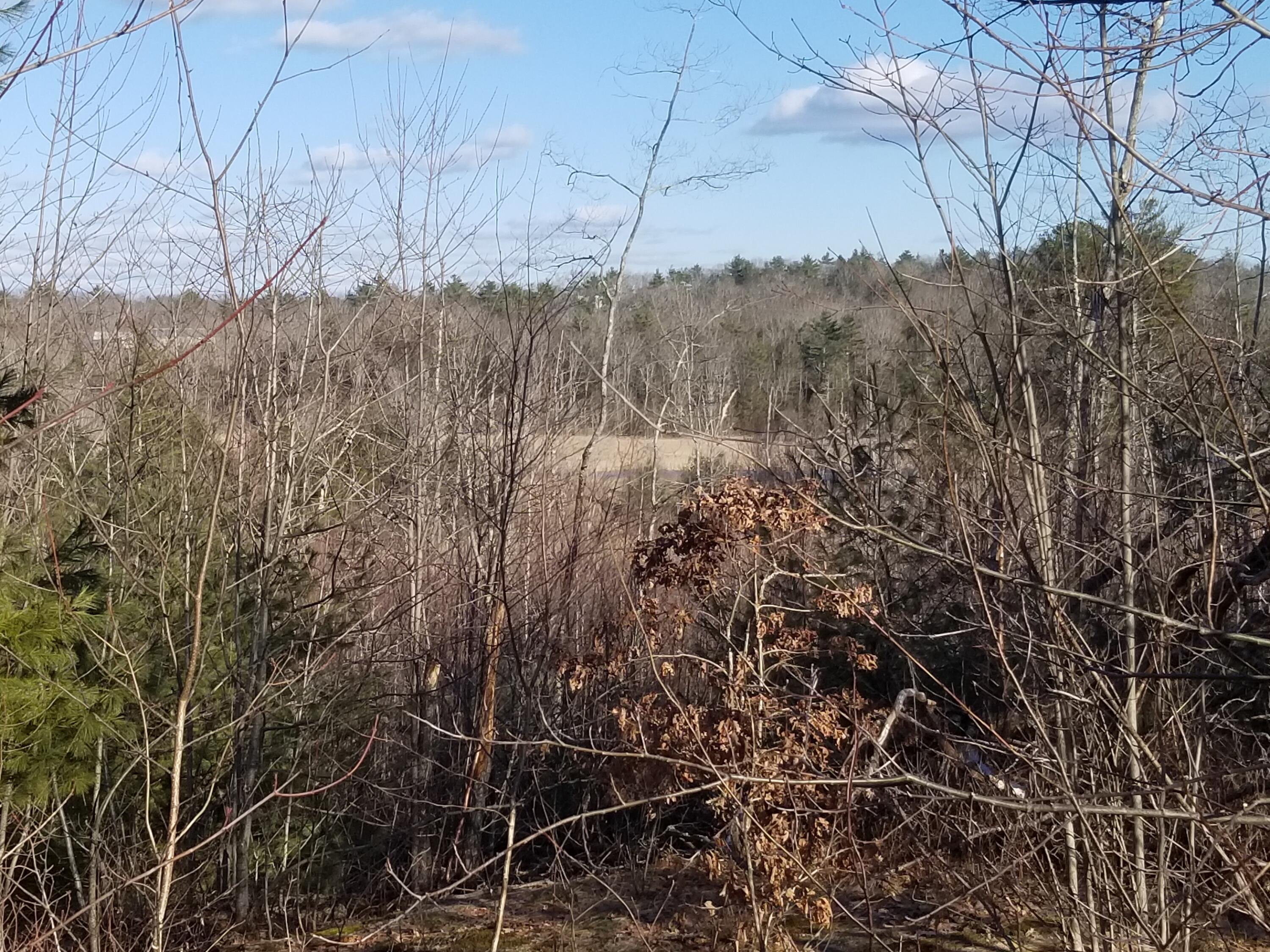 Lot 3 Middle Road Woolwich, ME 04579 - Photo 13 of 22 20230324_165041