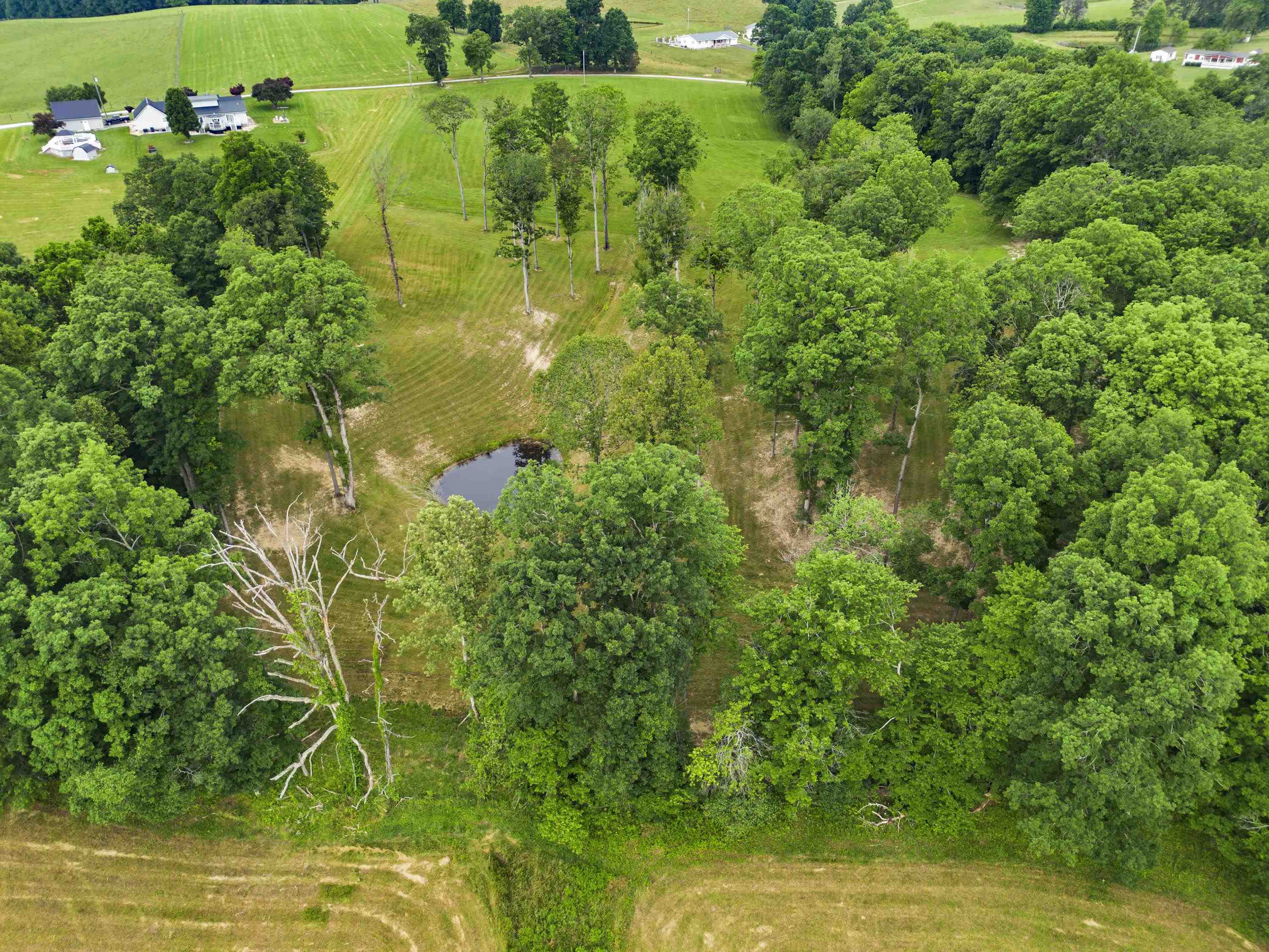 0 Salem Road Grayson, KY 41143 - Photo 8 of 25