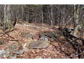 Lot8-9 Chamberlain Road Alton, NH 03809 - Photo 2 of 8