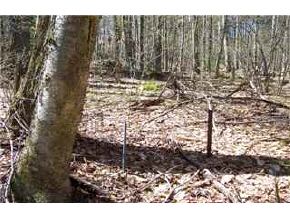 Lot8-9 Chamberlain Road Alton, NH 03809 - Photo 4 of 8