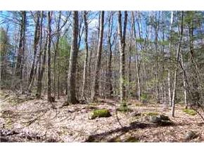 Lot8-9 Chamberlain Road Alton, NH 03809 - Photo 5 of 8