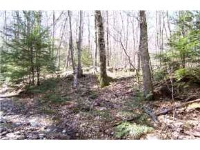 Lot8-9 Chamberlain Road Alton, NH 03809 - Photo 6 of 8