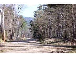 Lot8-9 Chamberlain Road Alton, NH 03809 - Photo 7 of 8