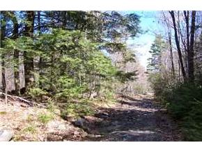 Lot8-9 Chamberlain Road Alton, NH 03809 - Photo 8 of 8