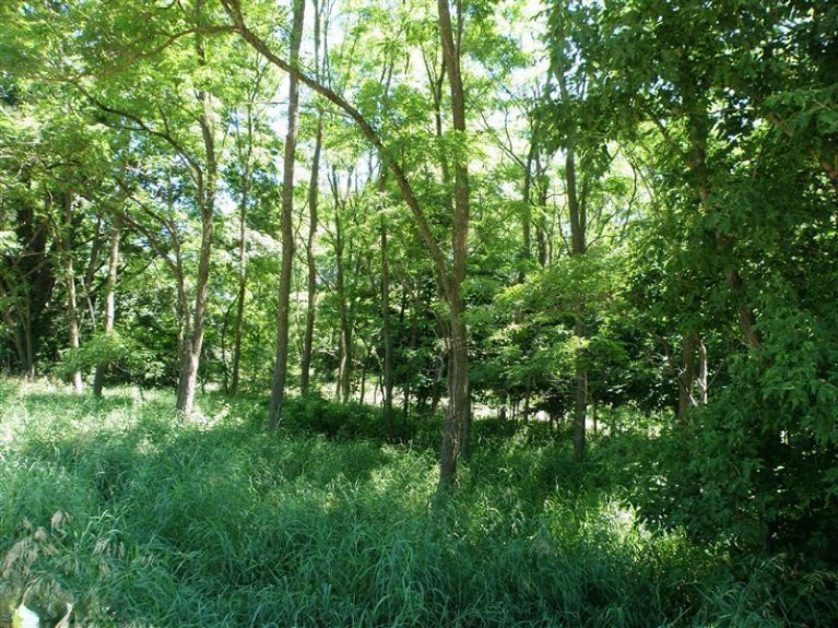 Kenny Road Kaleva, MI 49645 - Photo 2 of 14 Additional Photo