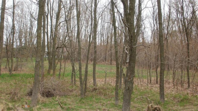 Kenny Road Kaleva, MI 49645 - Photo 10 of 14 Additional Photo