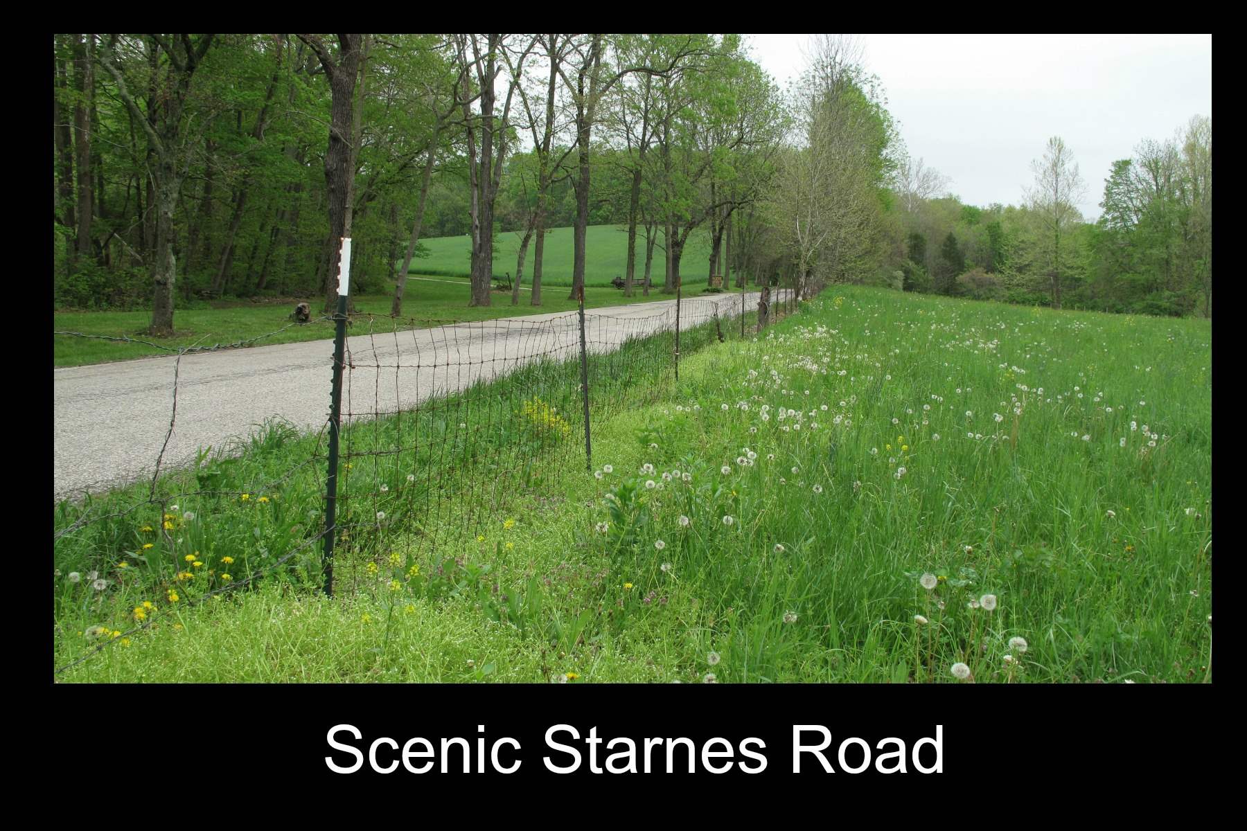 2900 North Starnes Road Bloomington, IN 47404 - Photo 4 of 12